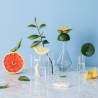 MULTIVITAMIN FUSION